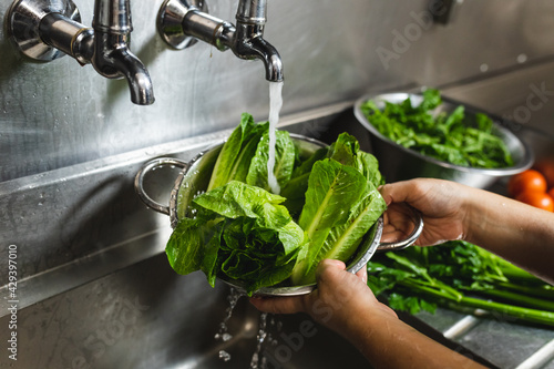 Close up of hands of person washing roman lettuce with water photo