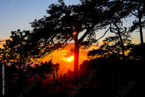 Silhouette Loei Province Thailand Phu Kradueng National Park. Is one of the attractions of the most famous of Thailand. Each year there are tens of thousands of people come to the average person touri