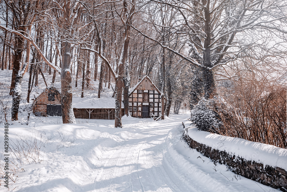 Winterlandschaft
winterwonderland
