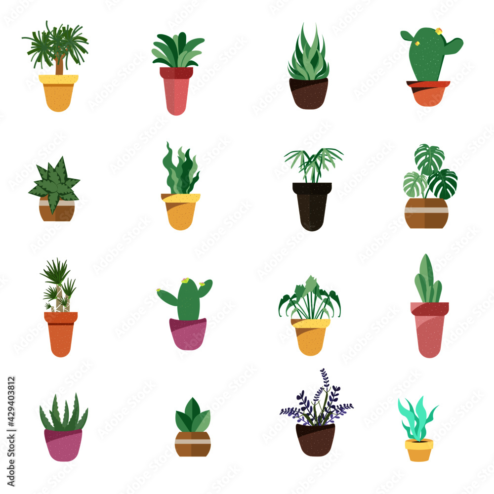 Plant on the pot for decorations on white background.