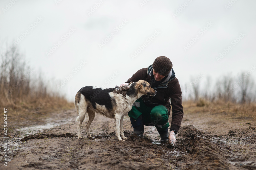 Very dirty and wet mixed breed shepherd dogs standing near faceless owner