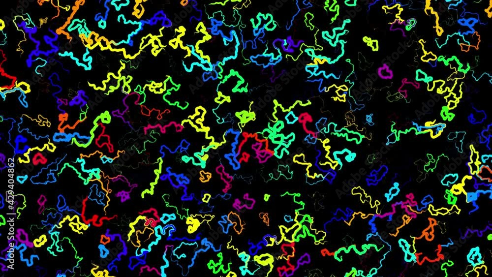 Abstract creative looped bg with curled lines like trails of different colors. Lines form swirling pattern like curle noise. Abstract 3d looping flowing animation as bright creative festive background Abstract creative looped bg with curled lines like trails of different colors. Lines form swirling pattern like curle noise. Abstract 3d looping flowing animation as bright creative festive background