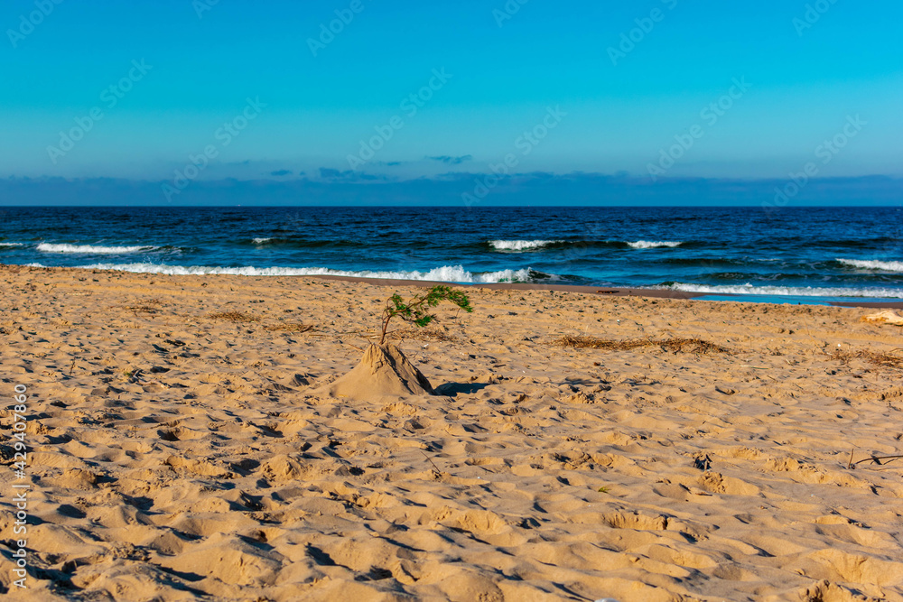 Obraz premium beach and sea