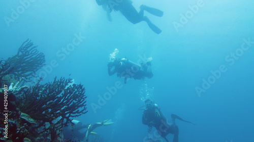 Scuba Divers swim over coral reef with fishes in blue sea. Tropical underwater seascape with coral reef. Leyte, Philippines.