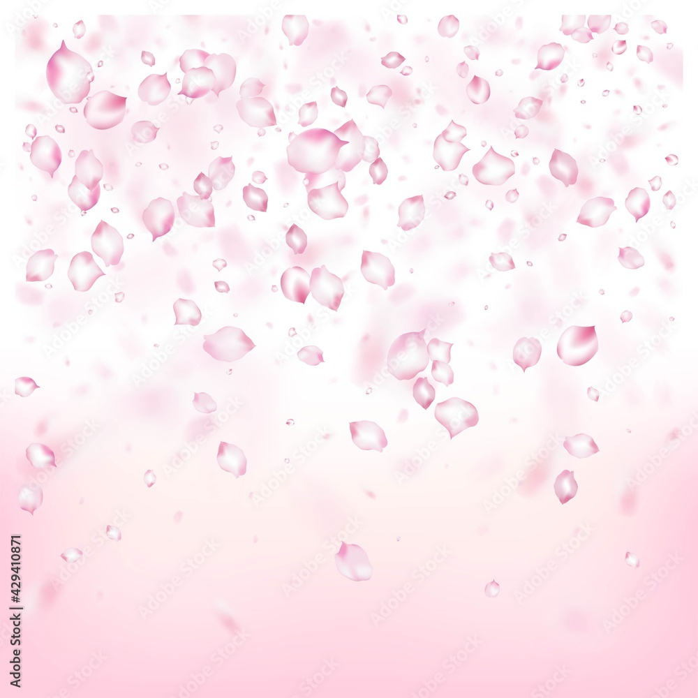 Cherry Sakura Blossom Confetti. Beautiful Rich VIP Tender Texture.