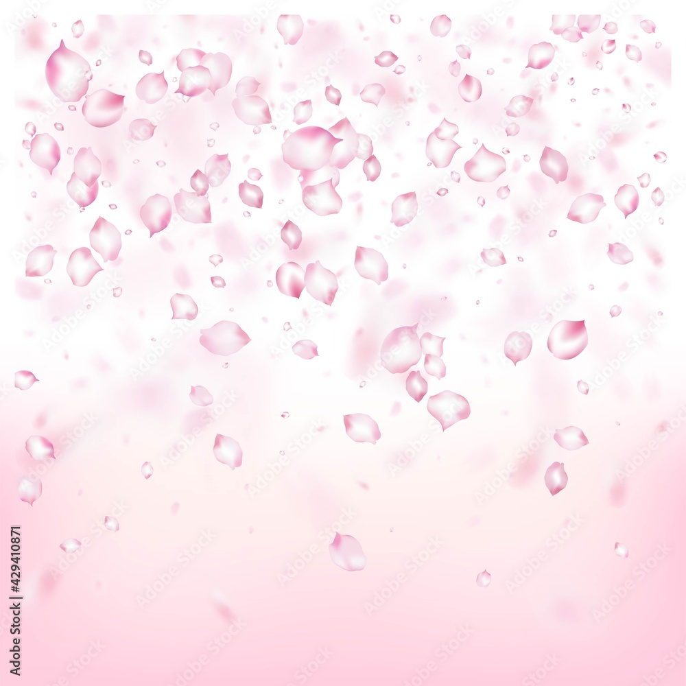 Cherry Sakura Blossom Confetti. Beautiful Rich VIP Tender Texture. Cherry Sakura Blossom Confetti. Beautiful Rich VIP Tender Texture.