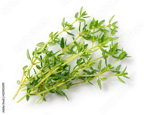 Thyme isolated on white background. Thyme herb top view. Macro.
