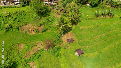 Rice terrace in Cordillera mountains, Luzon, Philippines. Growing rice in highlands, top view.