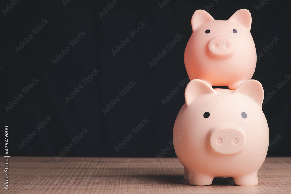 Business finance saving and investment concept. Piggy bank placed on the money and free space to put text. Business finance saving and investment concept. Piggy bank placed on the money and free space to put text.
