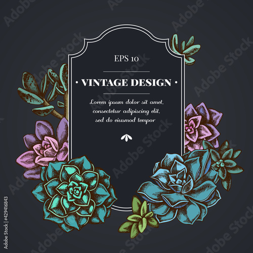 Dark badge design with succulent echeveria, succulent echeveria, succulent