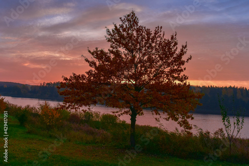 sunrise over the lake