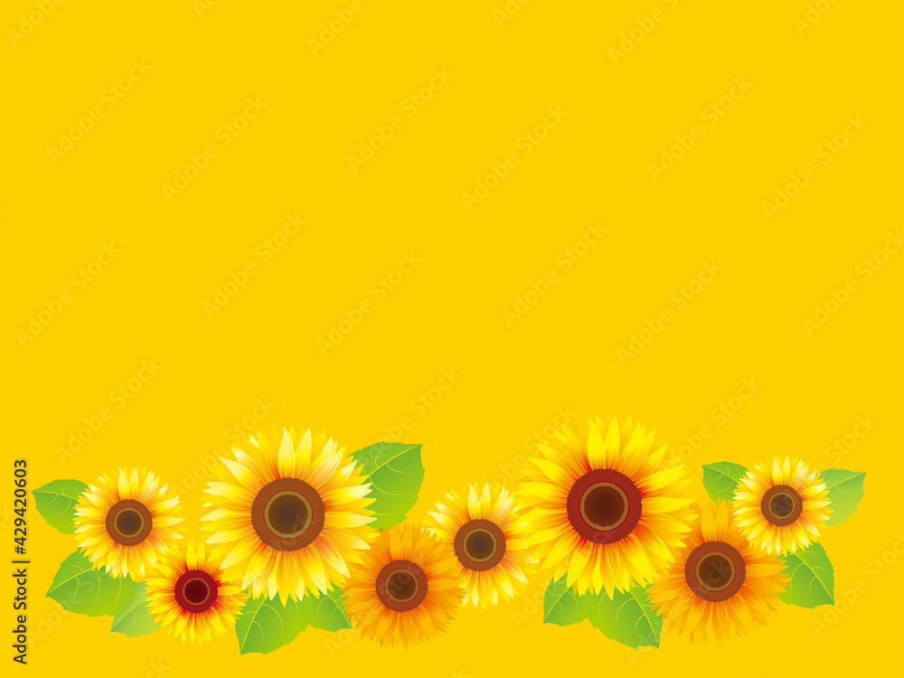 ひまわりの花と葉フレームイラスト素材背景黄色 Illustration Stock Adobe Stock ひまわりの花と葉フレームイラスト素材背景黄色 Illustration Stock Adobe Stock