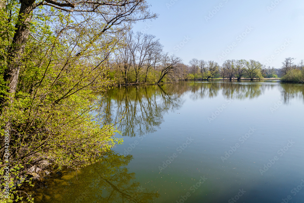 Fototapeta premium Frühling in Hermann-Löns-Park Hannover