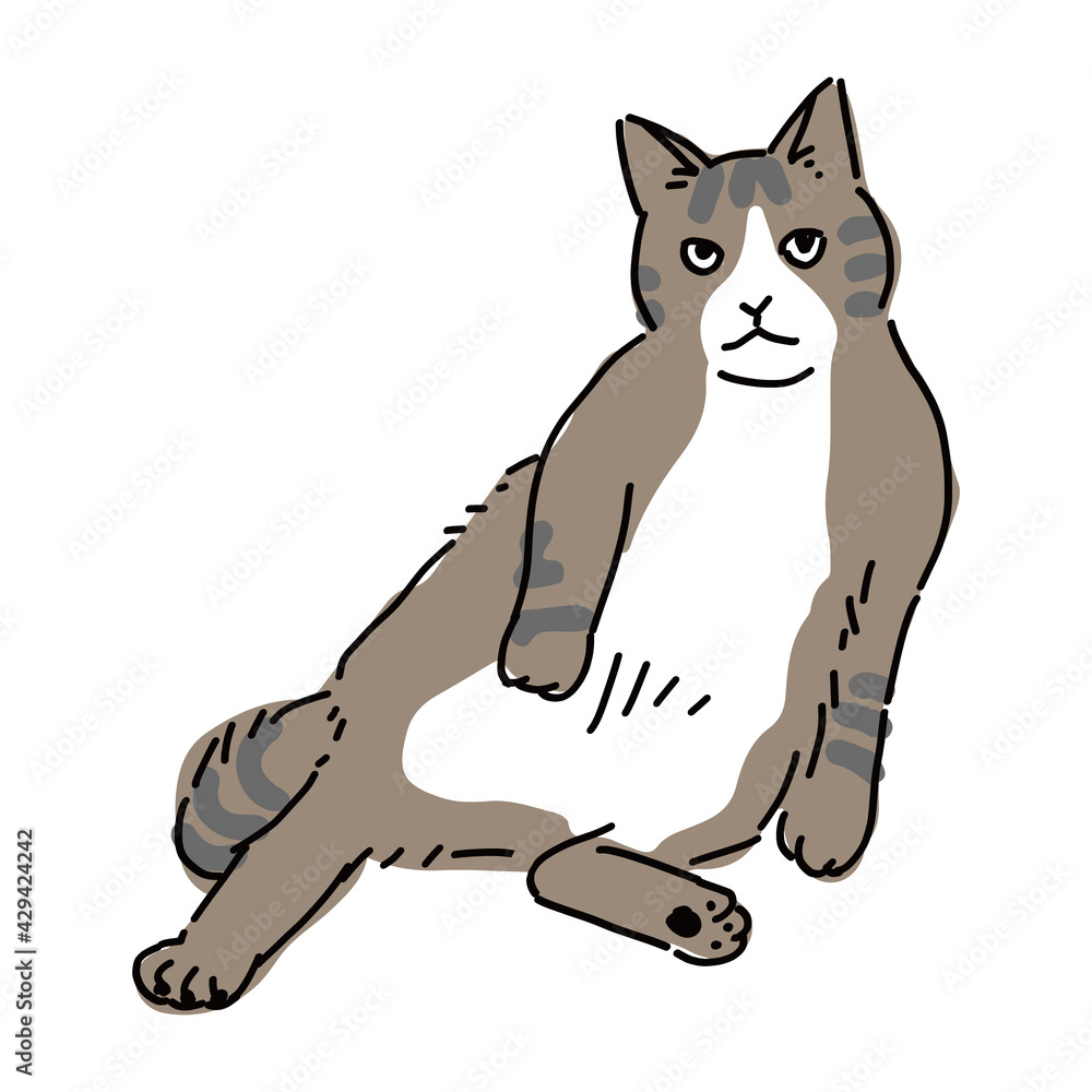 おじさんのような座り方をしているハチワレの猫の全身イラスト Stock Vector Adobe Stock