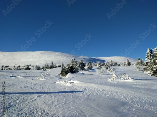 winter landscape with snow and sun and blue sky