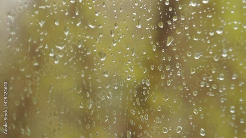 Rain drops falls on window glass spring green 
