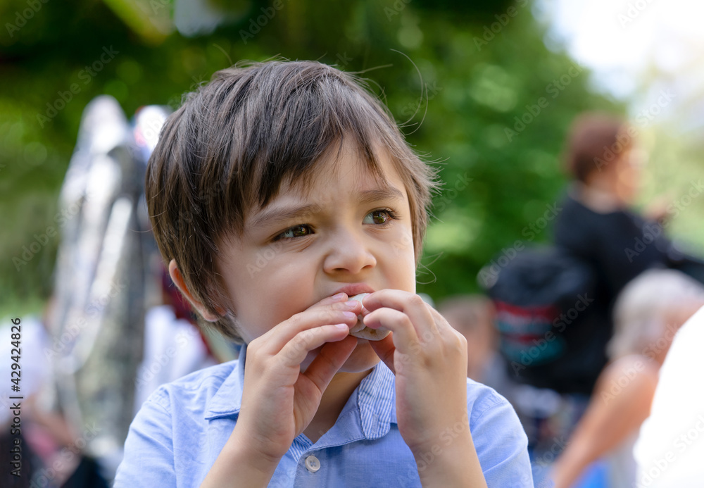 Cropped shot Hungry kid eating fresh tortilla wraps with salmon mixed vegetables, Cute boy siting on rug having a picnic in the park, kid eating Mexican sandwich food for his snack. Cropped shot Hungry kid eating fresh tortilla wraps with salmon mixed vegetables, Cute boy siting on rug having a picnic in the park, kid eating Mexican sandwich food for his snack.