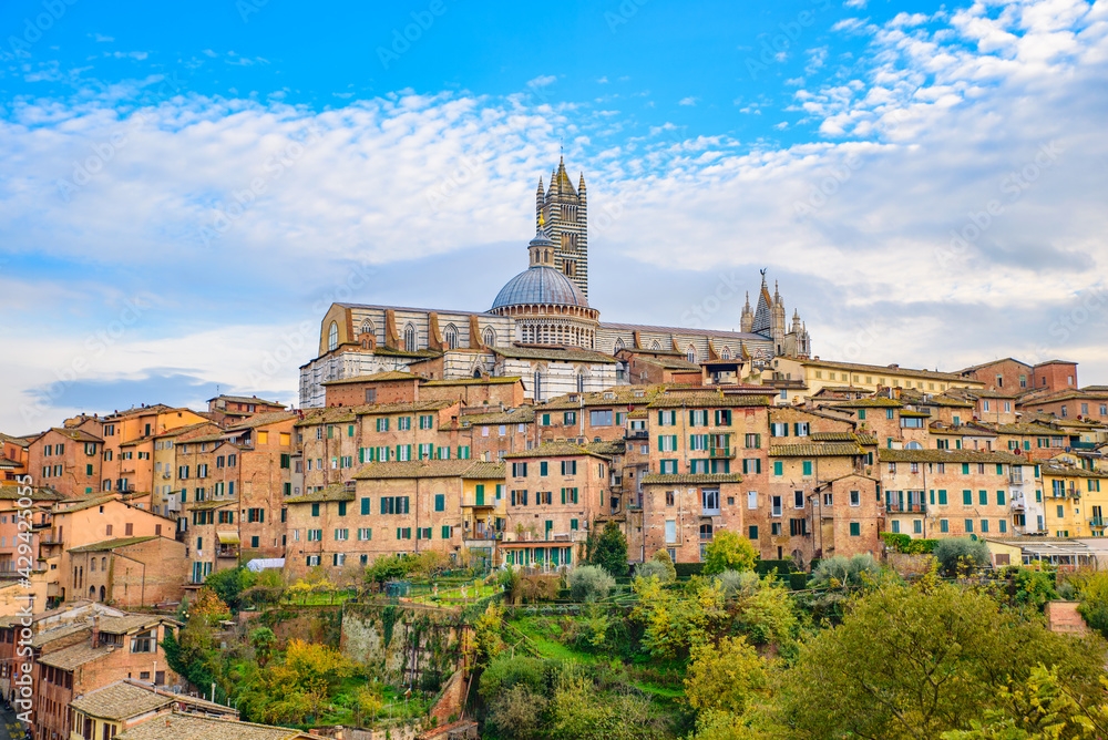 Fototapeta premium View of the historic center of Siena, Tuscany, Italy