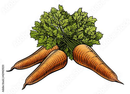 Carrots Vegetable Vintage Woodcut Illustration
