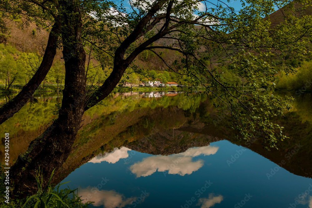 River reflection with houses and tree