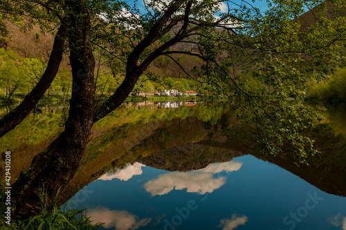 Fototapeta Naklejka Na Ścianę i Meble -  River reflection with houses and tree