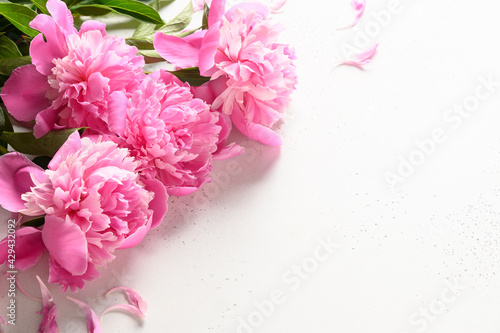 Fototapeta Naklejka Na Ścianę i Meble -  Bouquet of pink peony flowers on white. Copy space. Cloae up. Greeting card with peony for Women's day or Mothers day.