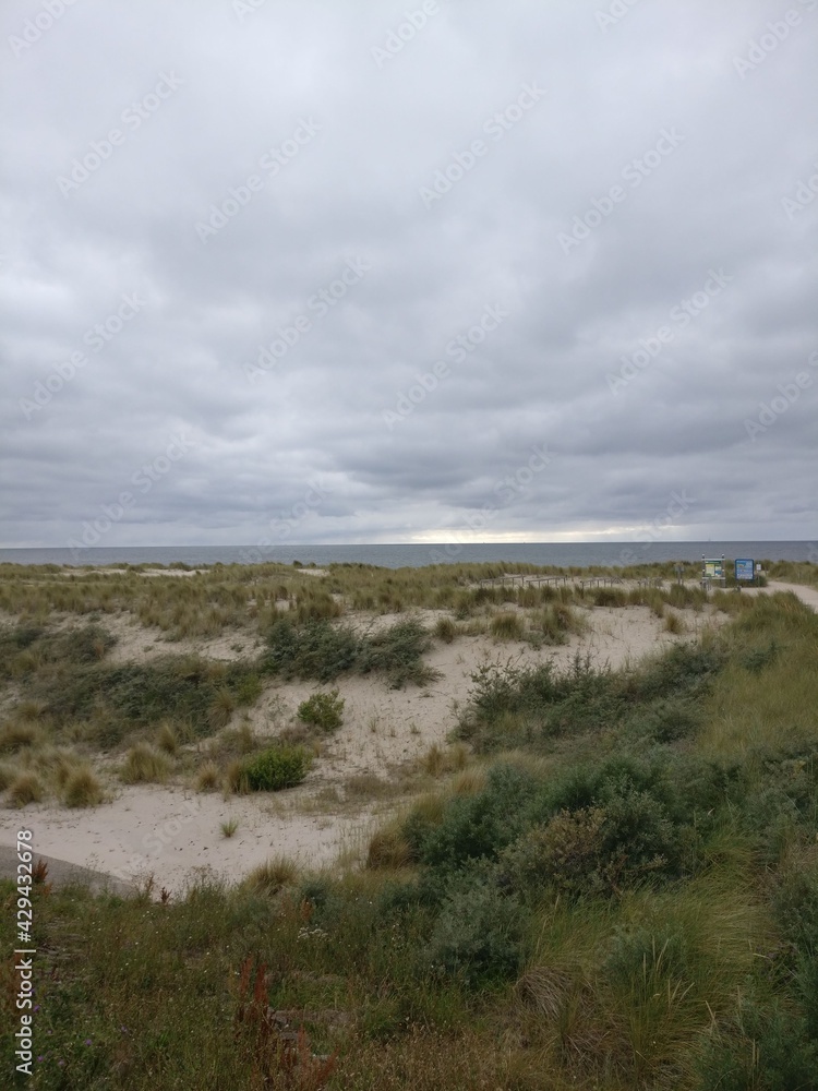 Dünen in Holland Dünen in Holland