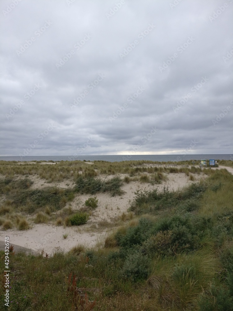 Dünen in Holland 