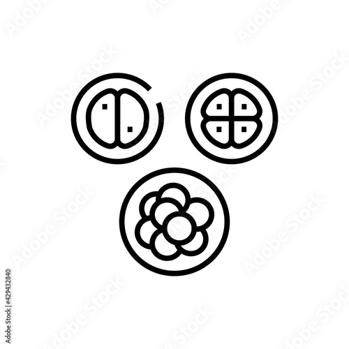 Embryo development icon. Fertilization on white background. Editable stroke.