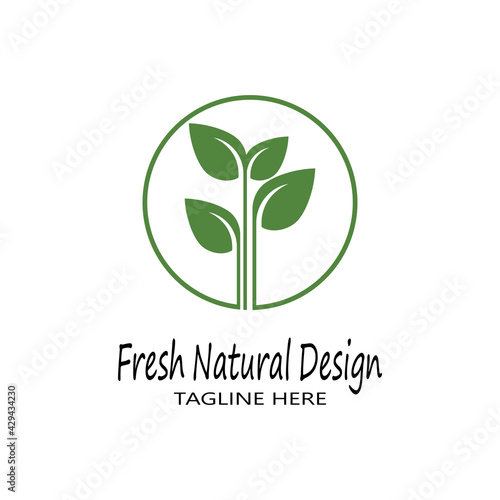 Mint leaves flat vector color icon template illustration design