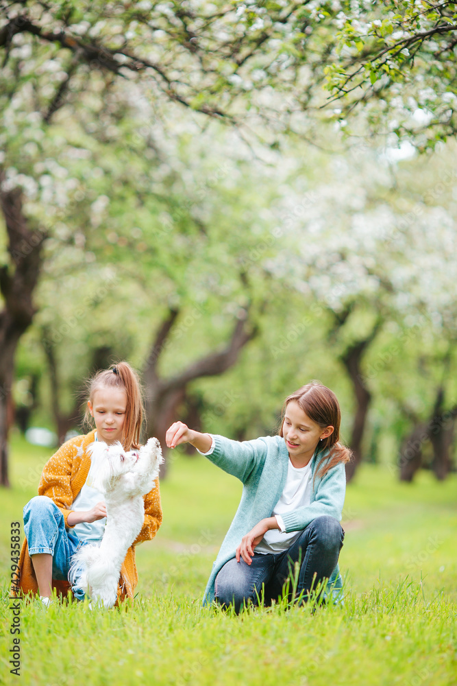Fototapeta premium Little smiling girls playing and hugging puppy in the park
