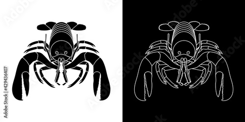 2 dessins vectoriels de homard, silhouette noire et ligne blanche. 