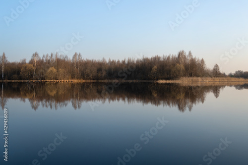 Beautiful spring landscape with a river and trees in a row at dawn against the blue sky. A mirror image in the water. The concept of calm and serenity