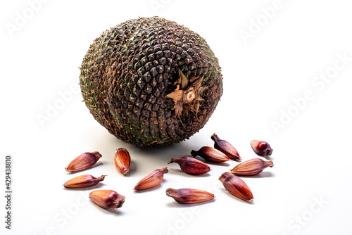 Close-up of a pine cone on a white background. The pine cone is the true fruit of Araucaria and its seeds are pine nuts. Brazilian food. photo