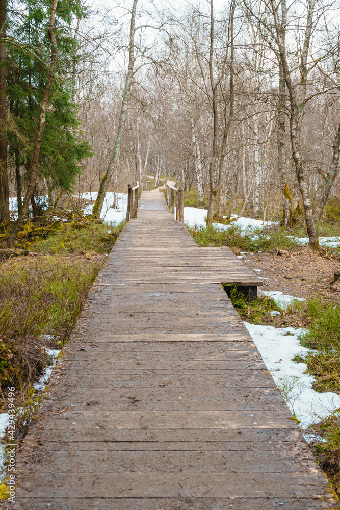 Rotes Moor - Hochmoor - Rhön Ausflugs- und Wanderziel