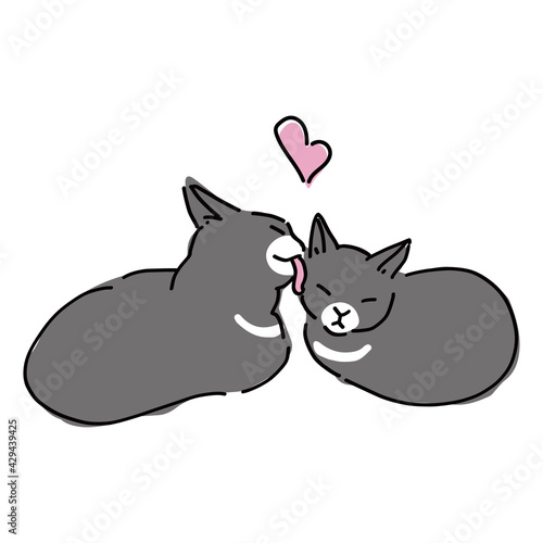 グルーミングしている二匹の猫のイラスト
