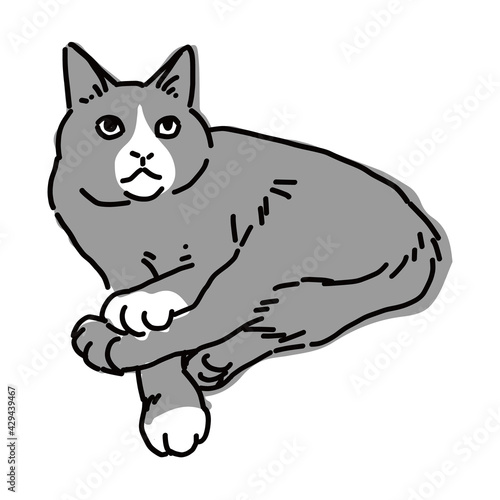 ハチワレのねこのイラスト
