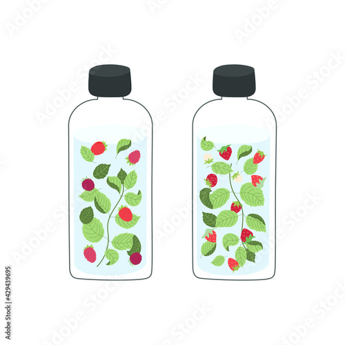 Infused water with mint and raspberries, and mint and wild strawberries in glass bottles. Detox and refreshment drink concept. Isolated vector illustration.