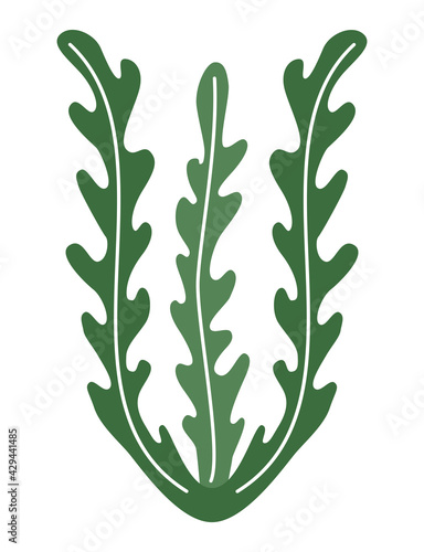 Seaweed spirulina logo icon on white background