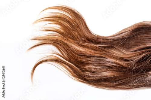 Brown hair isolated on white background.