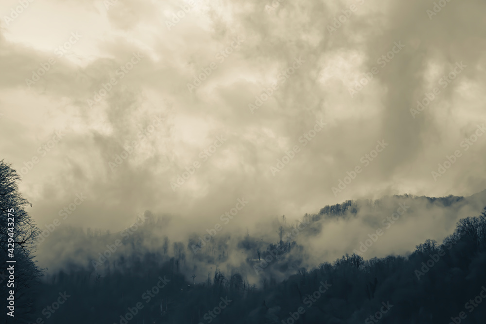 Foggy haze and dramatic sky at the mountainside with perennial trees