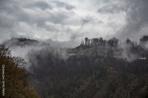Foggy haze and dramatic sky at the mountainside with perennial trees © ironstuffy