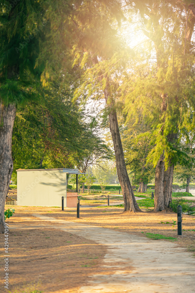 Obraz premium New pathway and beautiful trees track for running or walking and cycling relax in the park on green grass field on the side of the golf course. Sunlight and flare background concept.