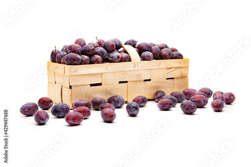 Zwetschgen im Spankorb