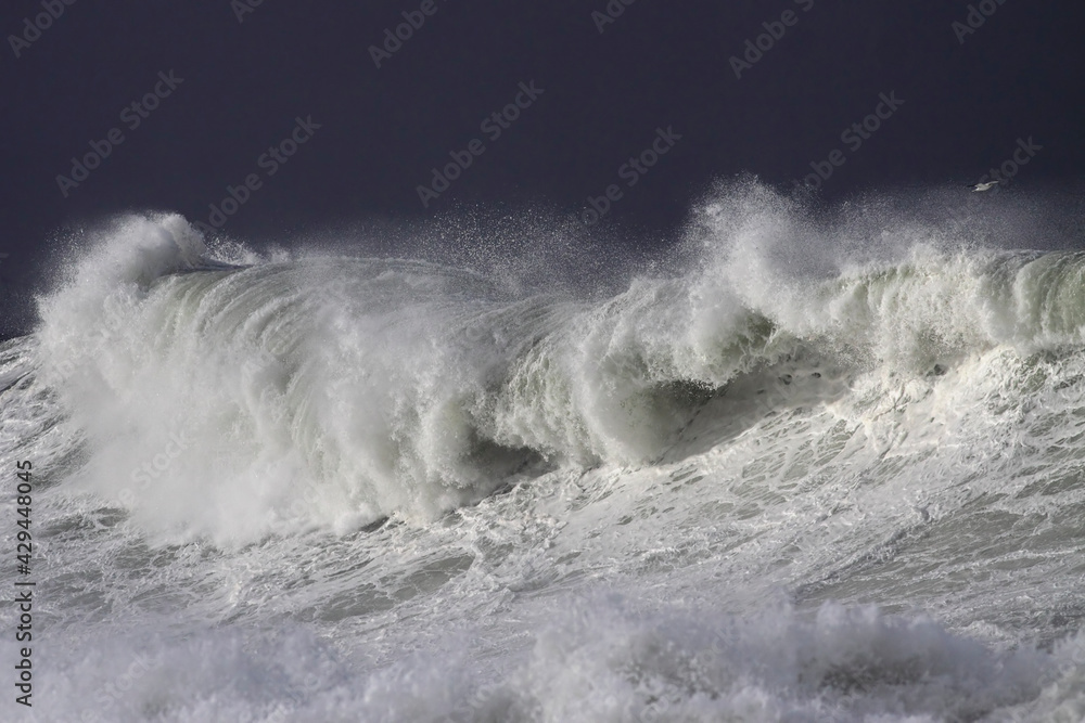 Big stormy sea wave