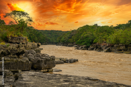 Foto Amazon rain forest in a perfect and lovely sunny day