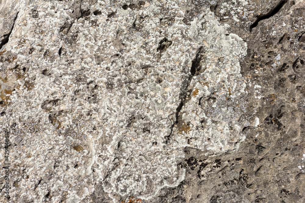 Natural mountain stone in a natural environment, rough surface burnt out in the sun and exposed to natural destruction. Natural mountain stone in a natural environment, rough surface burnt out in the sun and exposed to natural destruction.