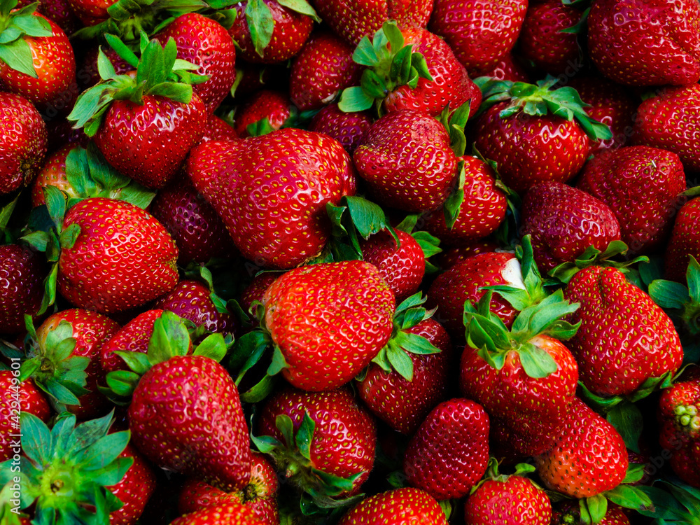 Fresh ripe spring strawberries. Fresh ripe spring strawberries.