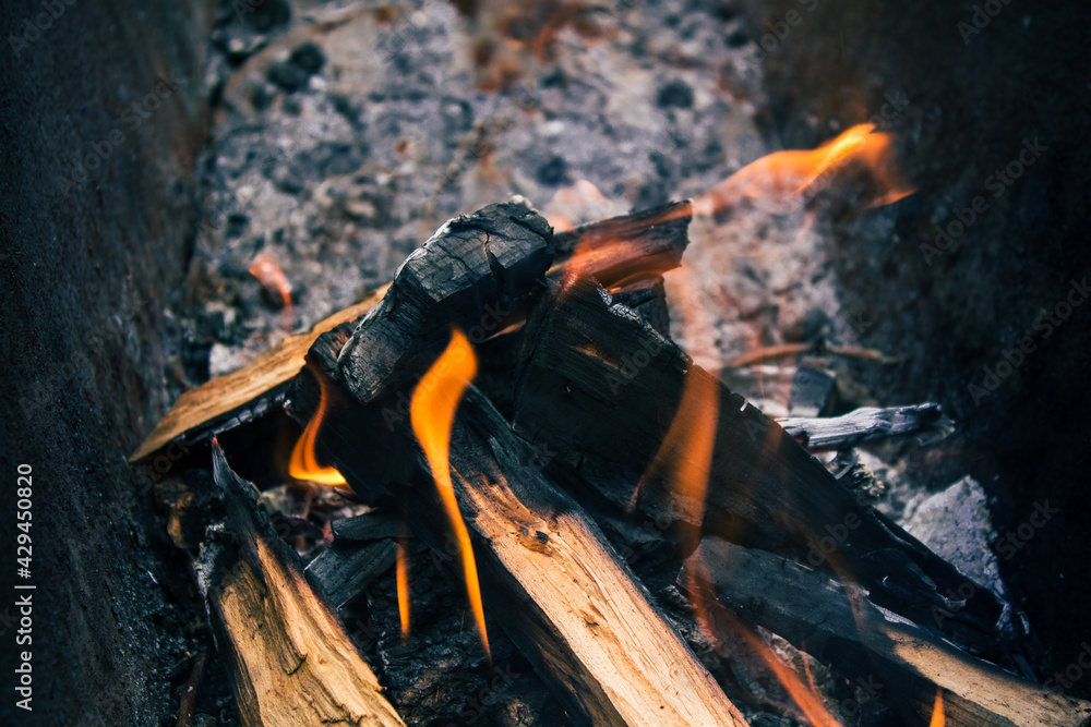 Obraz premium fire in fireplace close up. firewood burning in the mangel