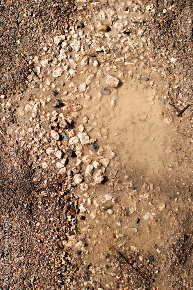 Background, texture, design. Small pebbles on the road in a puddle of water. Background, texture, design. Small pebbles on the road in a puddle of water.